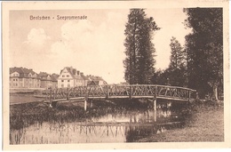 BENTSCHEN Seepromenade Zbaszyn Bahnpost - LISSA ZUG 435 28.2.1914 Als Feldpost Gelaufen TOP-Erhaltung - Posen