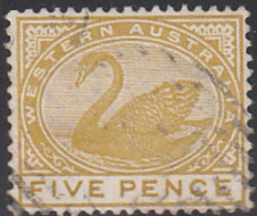 Western Australia 1890-93 Used Sc 66 5p Swan - Gebruikt