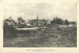 Chatel Sur Moselle Le Paturage - Chatel Sur Moselle