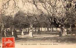 63 -VIC LE COMTE PROMENADE DE LA MOLIERE - Vic Le Comte