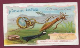250619B - CHROMO CHOCOLAT AIGUEBELLE - A Travers Les Flots Monde Sous Marin Mollusque Argonaute Calmar - Aiguebelle