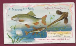 250619B - CHROMO CHOCOLAT AIGUEBELLE - A Travers Les Flots Monde Sous Marin Poissons Gardon Colte Chabot Vairon - Aiguebelle