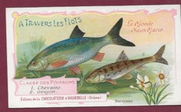 250619B - CHROMO CHOCOLAT AIGUEBELLE - A Travers Les Flots Monde Sous Marin Poissons Chevaine Goujon - Aiguebelle