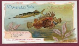 250619B - CHROMO CHOCOLAT AIGUEBELLE - A Travers Les Flots Monde Sous Marin Poissons Hémiramphe Pélor - Aiguebelle