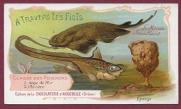 250619B - CHROMO CHOCOLAT AIGUEBELLE - A Travers Les Flots Monde Sous Marin Poissons Ange De Ler Chimère - Aiguebelle