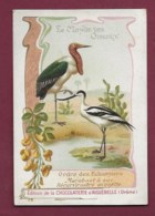 250619B - CHROMO CHOCOLAT AIGUEBELLE - Monde Des Oiseaux Echassiers Marabout A Sac Récuvirostre Avocette - Aiguebelle