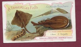 250619B - CHROMO CHOCOLAT AIGUEBELLE - A Travers Les Flots Monde Sous Marin Poissons Raie Torpille - Aiguebelle