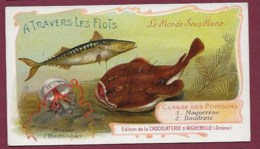 250619B - CHROMO CHOCOLAT AIGUEBELLE - A Travers Les Flots Monde Sous Marin Poissons Maquereau Baudroie - Aiguebelle