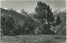 Chandolin - Foto-AK - Verlag Klopfenstein Adelboden - Gel. 1962 - Chandolin