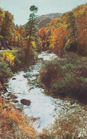 CPM USA En 1976 - GREENVILLE En Caroline Du Sud - Le Cours D'eau à L'automne By Mike Roberts - Greenville