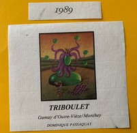 11093 -  Triboulet  1989 Gamay D'outre-Vièze/Monthey Suisse Dominique Passaquay - Arte