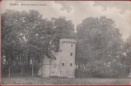 Herzele Ruine De L' Ancien Chateau Kasteel Burcht ZELDZAAM (vochtschade ? Zie Beschrijving) - Herzele