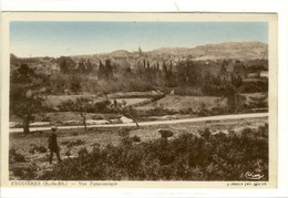 Carte Postale Ancienne Eyguières - Vue Panoramique - Eyguieres