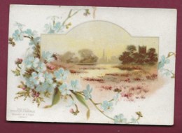 250619B - CHROMO CHOCOLAT AIGUEBELLE -  Vue De Paysage : Fleurs Bleues Entourant Marais, Foret - Aiguebelle