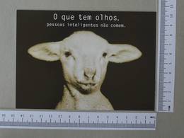 BRAZIL - O QUE TEM OLHOS -  PESSOAS INTELIGENTES NÃO COMEM -   2 SCANS    - (Nº30050) - Belo Horizonte