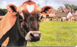 CARTE-MAGNETIQUE-JERSEY-2001-VACHE-TBE - Kühe