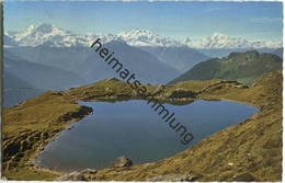 Bettmeralp Und Riederalp - Blausee - Verlag Rud. Suter Oberrieden Gel. 1971 - Riederalp