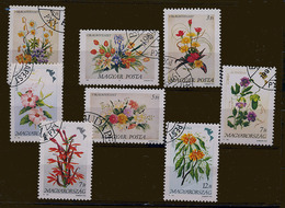 Lot  246 - B 10 - Hongrie Ob Lot - Fleurs - Used Stamps