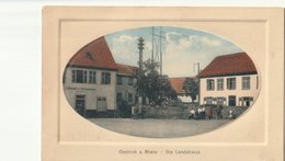 Oestrich A.Rhein Die Landstrasse/ Réf:fm:1237 - Oestrich-Winkel