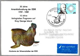 INVESTIGACION EN LA ANTARTIDA - MIROUNGA - Elefante Marino. Potsdam 1989 - Forschungsprogramme