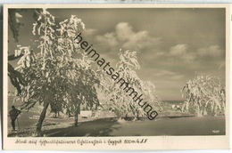 Blick Auf Schellerhau - Foto-Ansichtskarte - Verlag W. Kenne Dresden - Schellerhau