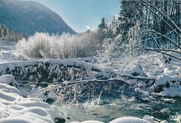 74-----LES CONTAMINES-MONTJOIE--effet De Givre Sur Le Bon Nant---voir 2 Scans - Contamine-sur-Arve