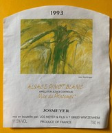 11319 - Alsace Pinot Blanc 1993 Mise De Printemps Artiste Jean Remlinger - Arte