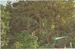 Disneyland Californie. Treehouse. - Disneyland