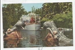 Disneyland Californie. Hippos Of The Congo. - Disneyland