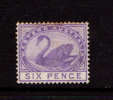 WESTERN  AUSTRALIA    1885    6d  Violet    USED - Gebruikt