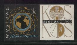 POLAND 1966 SIERADZ PHILATELIC EXHIBITION EXPO LABEL STAMP SPACE ROCKET EARTH SATELLITE ORBIT COSMOS CINDERELLA - Autres & Non Classés