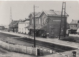 Postkaart/Carte Postale BUGGENHOUT  Station - La Gare (C562) - Buggenhout