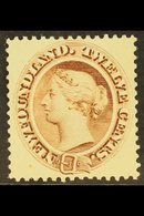 1894 12c Deep Brown, SG 61, Very Fine Mint. For More Images, Please Visit Http://www.sandafayre.com/itemdetails.aspx?s=6 - Autres & Non Classés