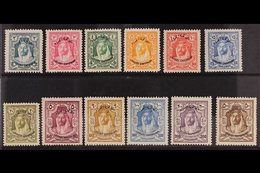 1930 "Locust Campaign" Overprints Complete Set, SG 183/94, Very Fine Mint, Fresh. (12 Stamps) For More Images, Please Vi - Jordan