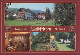 AK Eschau Wildensee Gasthof Pension Waldfrieden A Dammbach Altenbuch Faulbach Collenberg Wertheim Wörth Miltenberg Main - Miltenberg A. Main