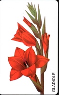 ! Telefonkarte, Telecarte, Phonecard, 1998, PD3, Blumen, Flowers, Gladiole, Germany - P & PD-Series : Guichet - D. Telekom