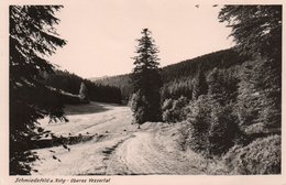 SCHMIEDEFELD A. RSTG-OBERES VESSERTAL -REAL PHOTO-NON VIAGGIATA - Schmiedefeld