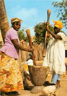Afrique - Africa - Femmes - Femme - Gambie - Gambia - Village Women Preparing The Evening Meal - état - Gambie