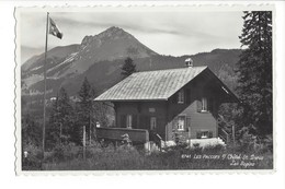 22322 - Les Paccots Sur Châtel St.Denis Les Sapins - Châtel-Saint-Denis