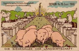 Schöneberg (1000) 20. Wanderausstellung Der Deutschen Landwirtschaftsgesellschaft 14. Bis 19. Juni 1906 Sonderstempel 19 - Sonstige & Ohne Zuordnung