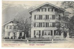 BÖNIGEN: Hotel Seehof ~1910 - Seehof