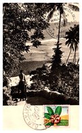 Wallis Et Futuna N°159 - Carte Maximum - Brieven En Documenten