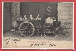 BELGIQUE --  BRUXELLES --  La Laitière Flamande - Attelage De Chien - Old Professions