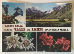 VALLE DI LANZO - PIAN DELLA MUSSA   VIAGGIATA FG - Mehransichten, Panoramakarten