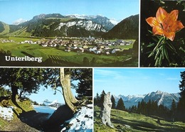 UNTERIBERG - Unteriberg