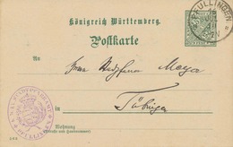 WÜRTTEMBERG "PFULLINGEN" K1 A. 5 Pf Kab-GA-Dienstpostkarte (Druckdatum "5 6 3") N. Tübingen, 1910 - Postwaardestukken