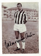 F.C. JUVENTUS  DELL' OMODARME Authographs - Authographs