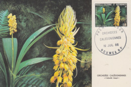 Carte  Maximum  1er Jour   NOUVELLE CALEDONIE   Orchidée  Calédonienne   1986 - Cartes-maximum