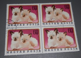 LOT TIMBRES DE HONGRIE - Sonstige & Ohne Zuordnung