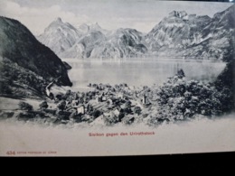 CARTE POSTALE _ CPA VINTAGE : SUISSE _ SISIKON _ Gegen Den Urirothstock      // CPA.EU.250.09 - Sisikon